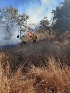 Atiende Coesfo cuatro incendios forestales registrados en diferentes regiones de Oaxaca-3
