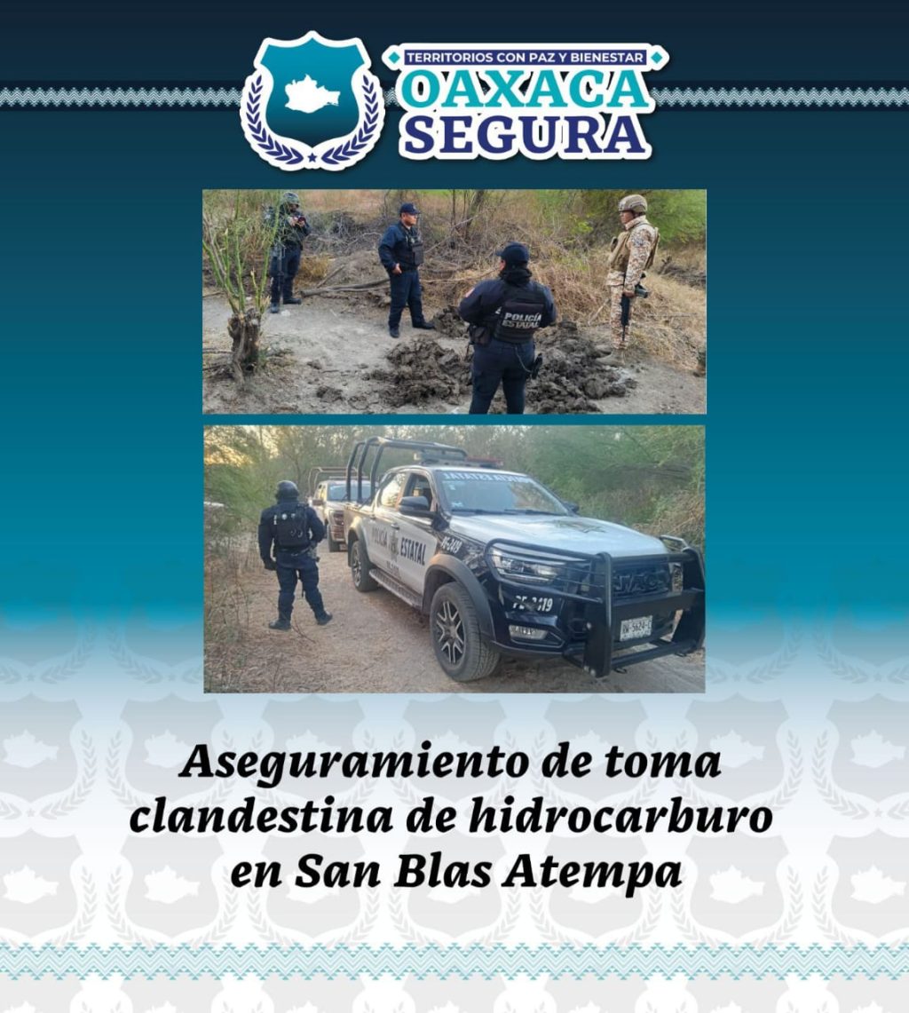 WhatsApp Image 2026-02-03 at 18.46.54