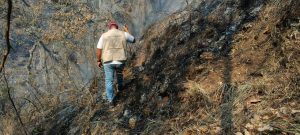 Acompaña CDPaz atención de incendios forestales-2