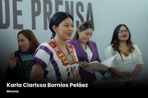 Congreso local continúa trabajando para reducir brechas de desigualdad Grupo Parlamentario Morena_02