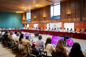 Reitera Primavera Oaxaqueña acompañamiento a sector empresarial e impulso al desarrollo económico-2