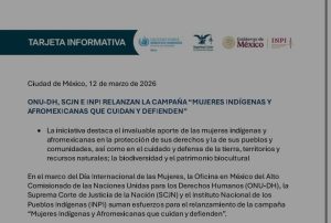 WhatsApp Image 2026-03-12 at 15.24.33