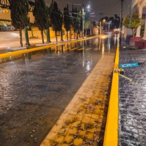 WhatsApp Image 2026-03-24 at 14.54.31 (4)