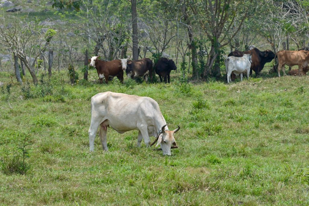 672388739_1504160784404808_5936863461336372679_n