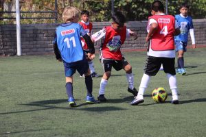 FB_IMG_1777164929128