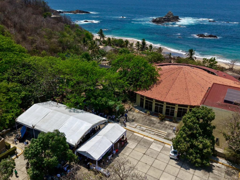 Garantiza Salomón Jara Cruz apoyos para el Centro Mexicano de la Tortuga (4)