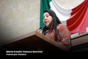 Presentan iniciativa para incorporar un enfoque integral para el control poblacional de perros y gatos