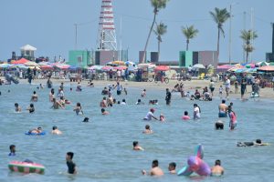 WhatsApp Image 2026-04-03 at 15.19.05 (3)