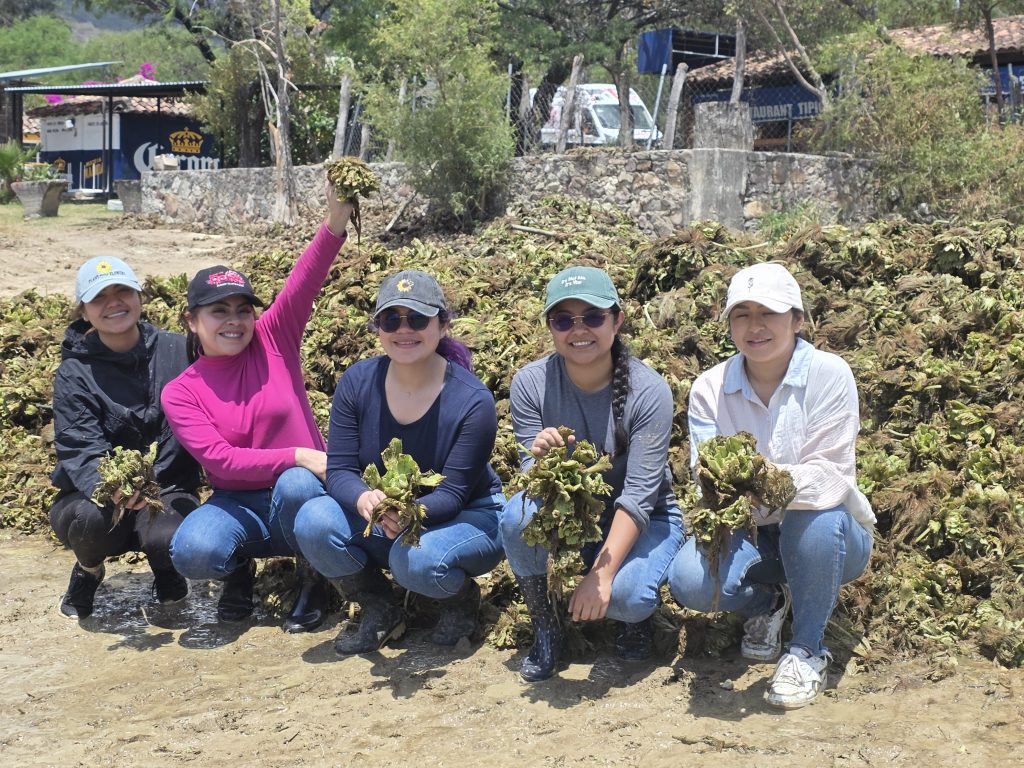 WhatsApp Image 2026-04-07 at 15.09.18