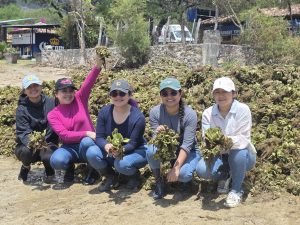 WhatsApp Image 2026-04-07 at 15.09.18