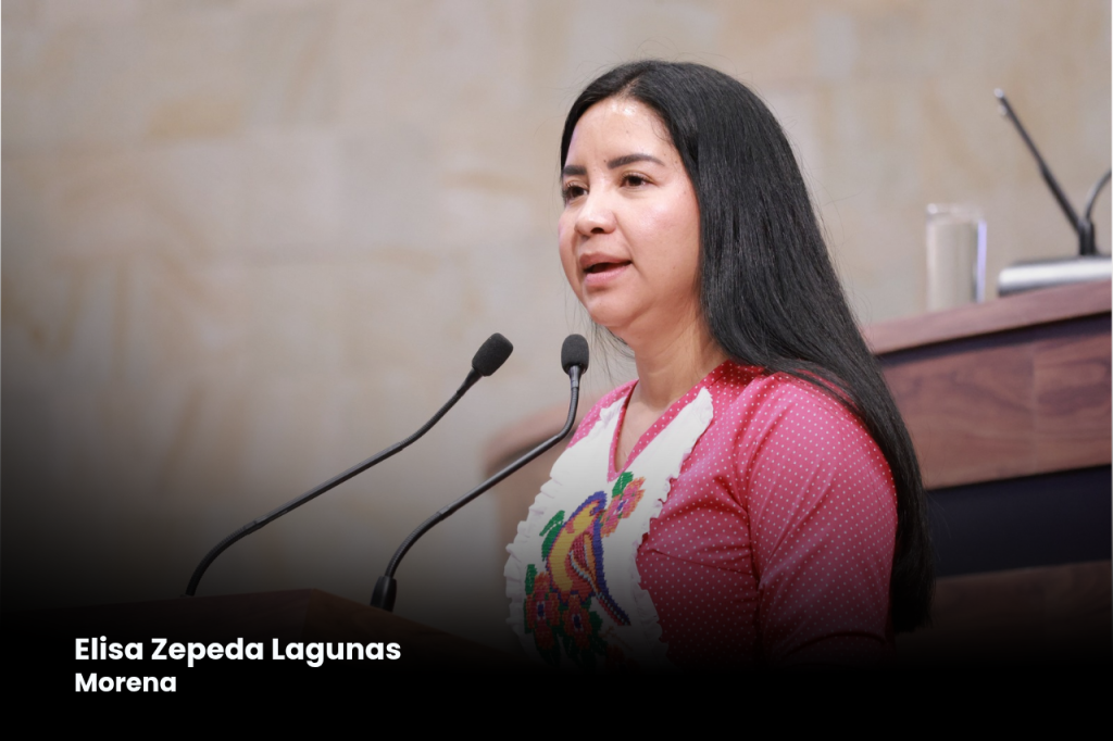 Desde el Congreso del Estado proponen ampliar el concepto de Comunidades Indígenas y asegurar el acceso efectivo a la justicia
