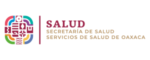 LOGO251x100px__SALUD (1)